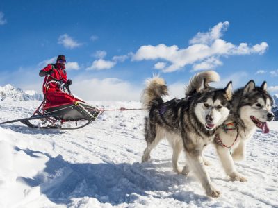 Dove fare sleddog? I posti più belli dalla Valle d’Aosta al Trentino