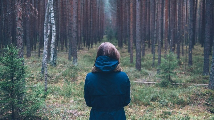 Escape wood in Piemonte