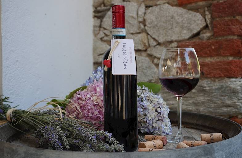 Visita Cantina Fontechiara