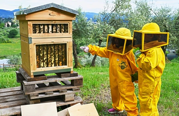 Apicoltore per un Giorno vicino Firenze