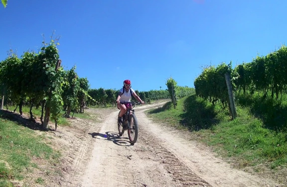 Barbaresco E-Bike Tour nelle Langhe