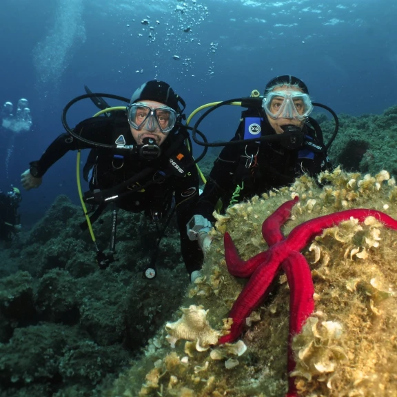 Immersione Subacquea all'Isola d'Elba