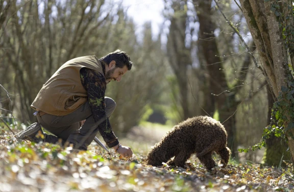 Caccia al Tartufo con Degustazione vicino Perugia