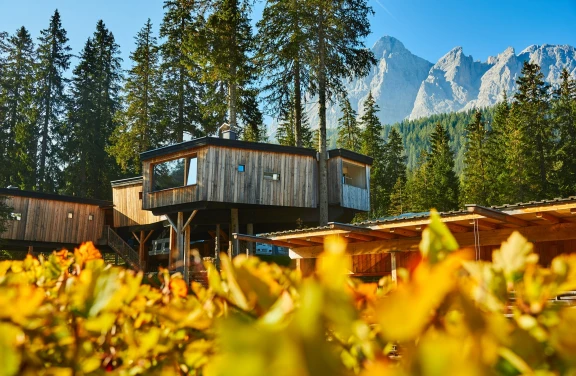 Casa sull'albero a Sesto in Trentino Alto Adige