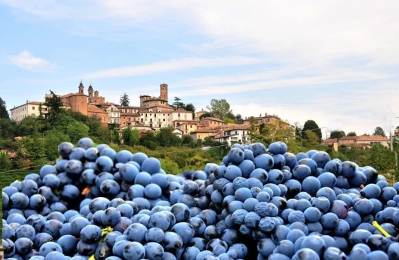 Degustazione di Vini a Neive nelle Langhe