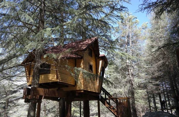 Dormire in una Casa sull'Albero nel Parco delle Madonie