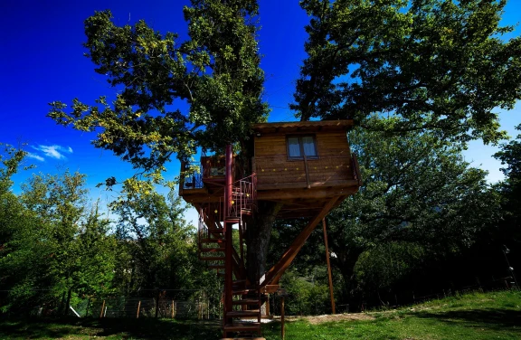 Dormire in una Casa sull'Albero nella Tenuta Bocchineri