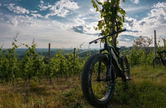 E-Bike Tour con Degustazione in Vigna a Gattinara in Valsesia