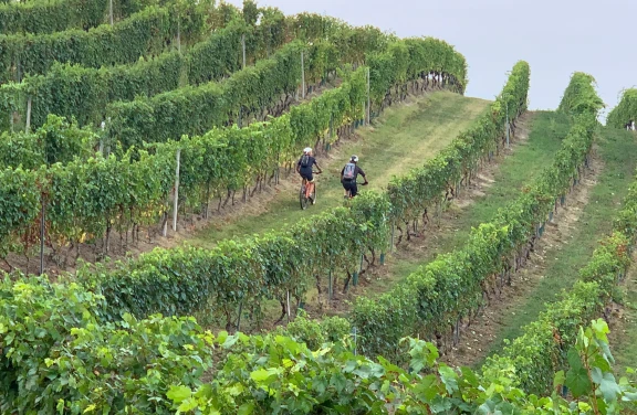 E-Bike Tour tra i Vigneti del Barolo