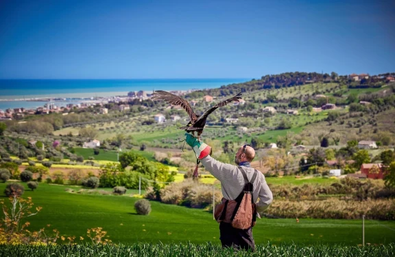 Esperienza con le Aquile a Civitanova Marche