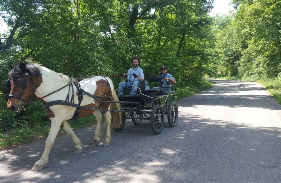 Giro in Carrozza a Umbertide in Umbria