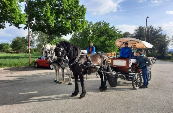 Giro in Carrozza ad Assisi e Rivotorto