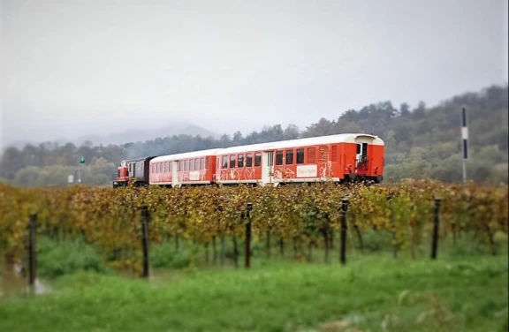 Il Treno dei Sapori