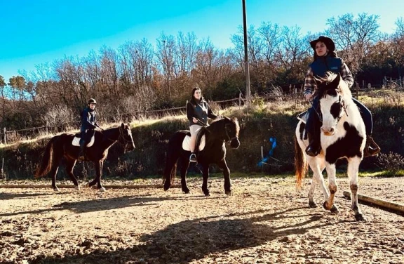 Lezione a cavallo di 1 ora vicino Livorno