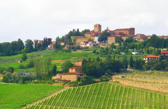 Mystery Tour a Greve in Chianti