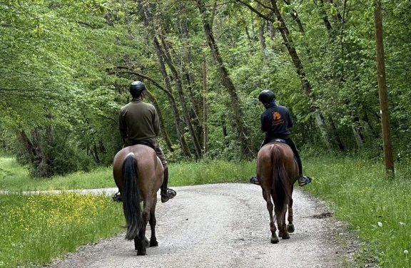 Passeggiata a Cavallo ad Arezzo
