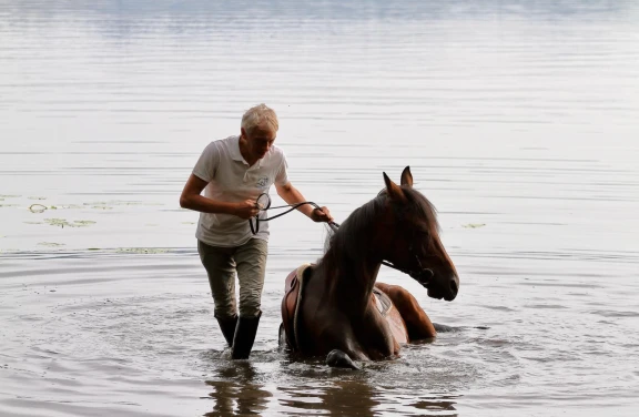 Passeggiata a Cavallo al Lago di Viverone nel Canavese