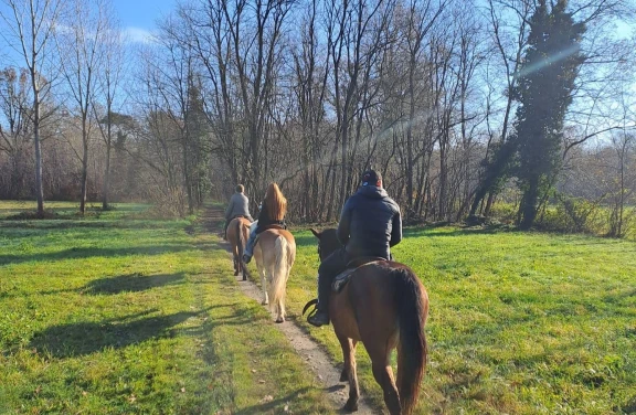 Passeggiata a Cavallo e Lezione di Yoga nel Parco del Ticino