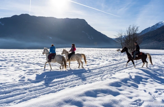 Passeggiata a Cavallo in Trentino Alto Adige vicino Trento