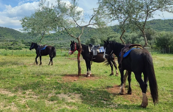 Passeggiata a Cavallo nel Parco Nazionale del Gargano