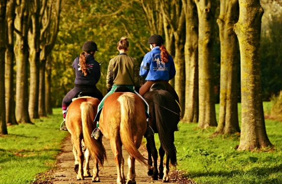 Passeggiata a Cavallo sull'Appennino Tosco Emiliano