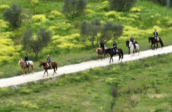 Passeggiata a Cavallo vicino Livorno