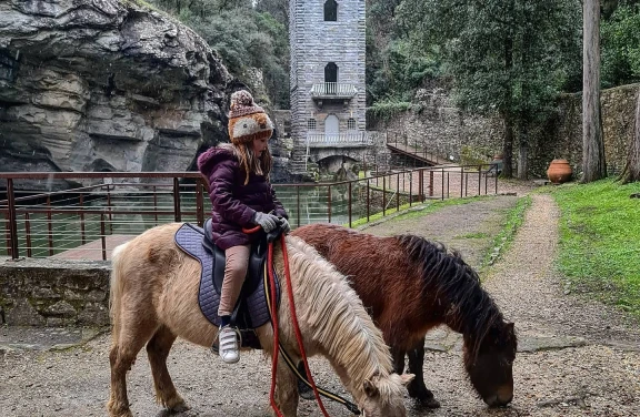 Passeggiata in sella ai Pony vicino Firenze