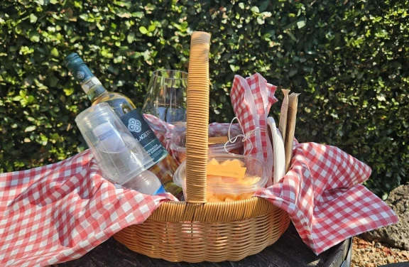 Picnic di Coppia in Vigna a San Gimignano