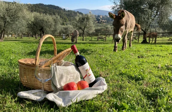 Picnic in Fattoria vicino Firenze