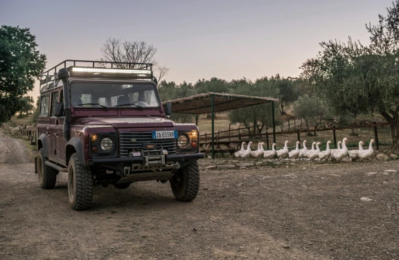 Safari Tour in Fattoria Biologica vicino Firenze