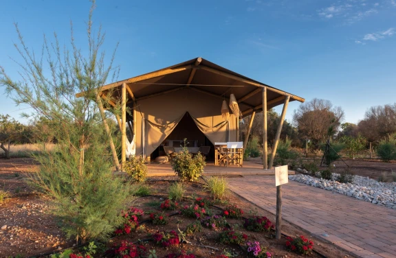 Tenda Glamping a Nardò nel Salento