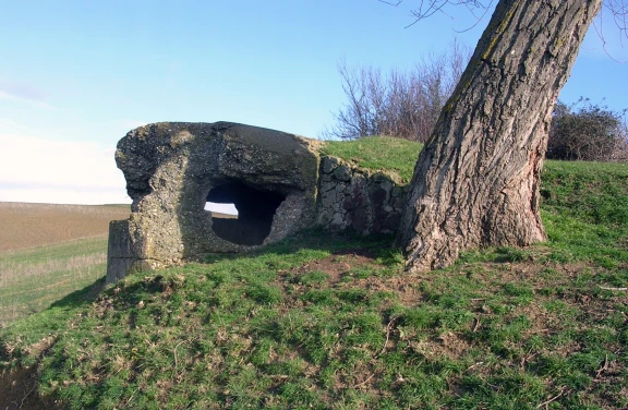 Tour dei Bunker della Seconda Guerra Mondiale