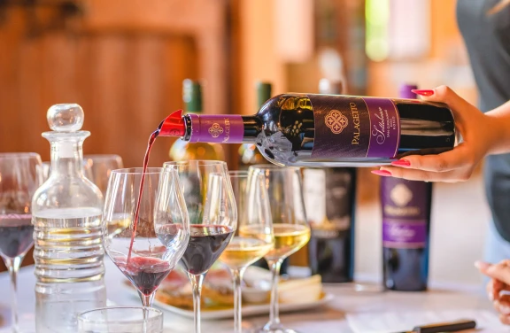 Visita e Degustazione di Vini a San Gimignano
