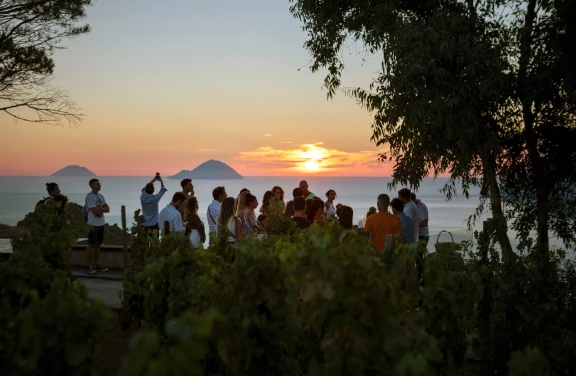Visita in Cantina e Degustazione al Tramonto a Lipari