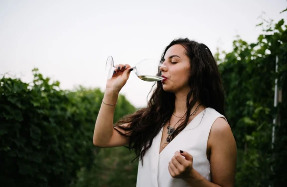 Visita in Cantina e Degustazione di Vini nelle Langhe