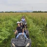 Addio al Nubilato o Celibato: Caccia al Tesoro in Quad nella Brianza