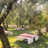 Addio al Nubilato tra Arte e Sapori sulla Costa dei Trabocchi