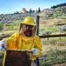 Apicoltore per un Giorno vicino Firenze