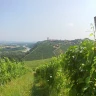 Barbaresco E-Bike Tour nelle Langhe