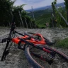 Barbaresco E-Bike Tour nelle Langhe