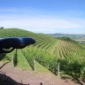 Barbaresco E-Bike Tour nelle Langhe