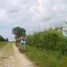 Barbaresco E-Bike Tour nelle Langhe