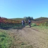 Barbaresco E-Bike Tour nelle Langhe