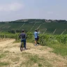 Barbaresco E-Bike Tour nelle Langhe