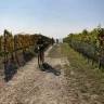 Barbaresco E-Bike Tour nelle Langhe