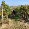 Barbaresco E-Bike Tour nelle Langhe