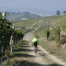 Barbaresco E-Bike Tour nelle Langhe