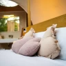 Bubble Room in Piemonte vicino Torino