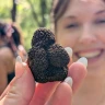 Caccia al Tartufo con Aperitivo, Pranzo o Cena ad Alberobello