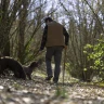 Caccia al Tartufo con Degustazione vicino Perugia